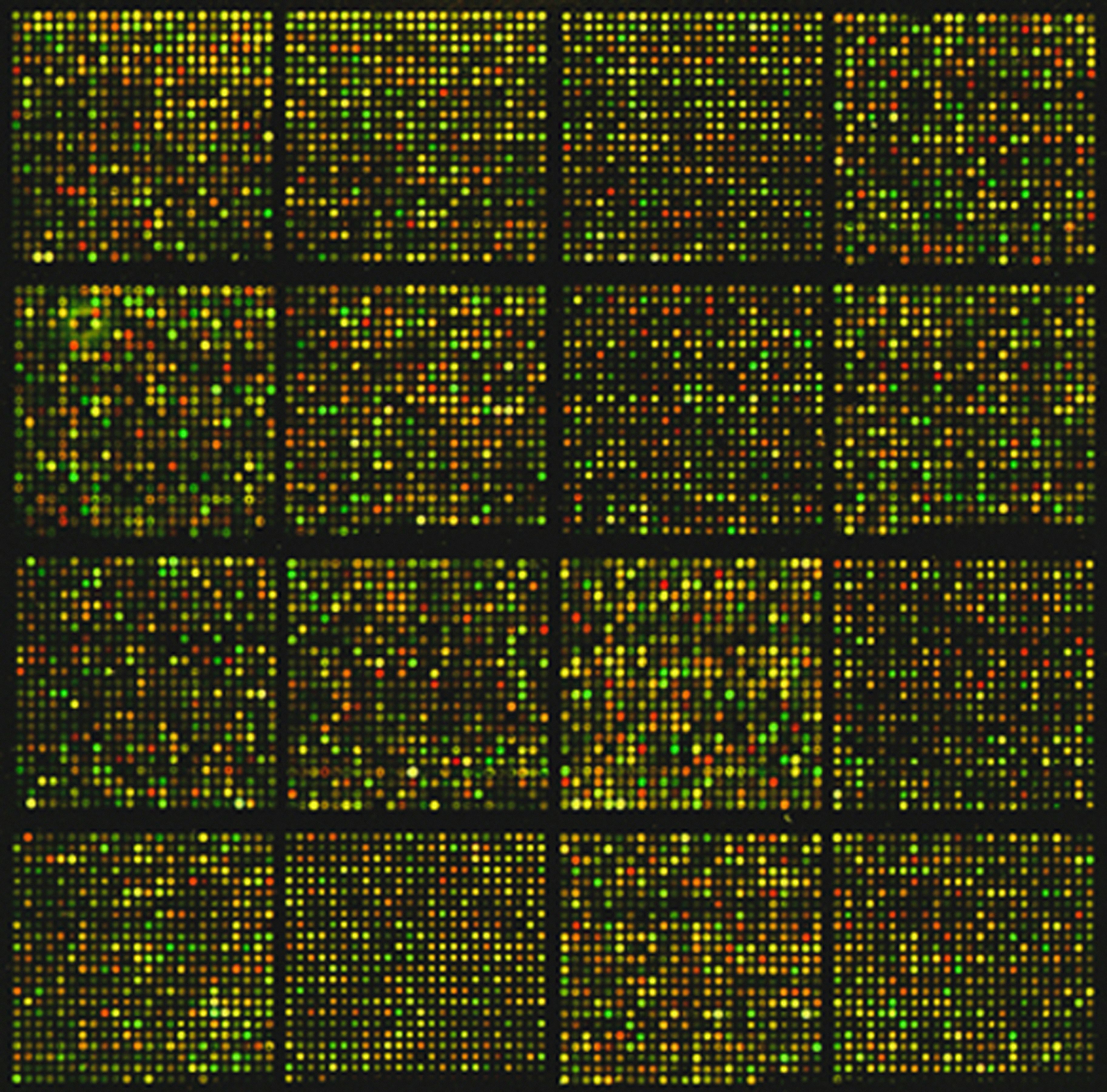 DNA microarray heatmap